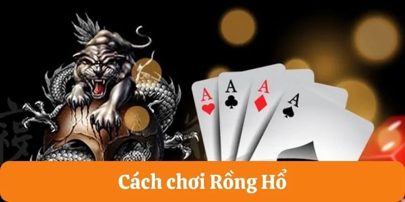 Hướng dẫn cách chơi rồng hổ tại nhà cái i9BET